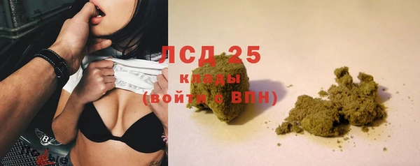 spice Арсеньев
