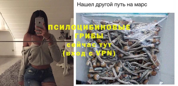 spice Арсеньев