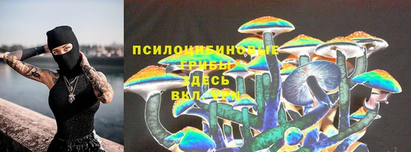 соль ск Армянск