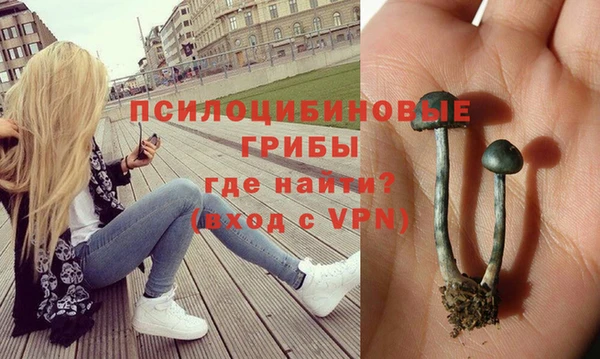 spice Арсеньев